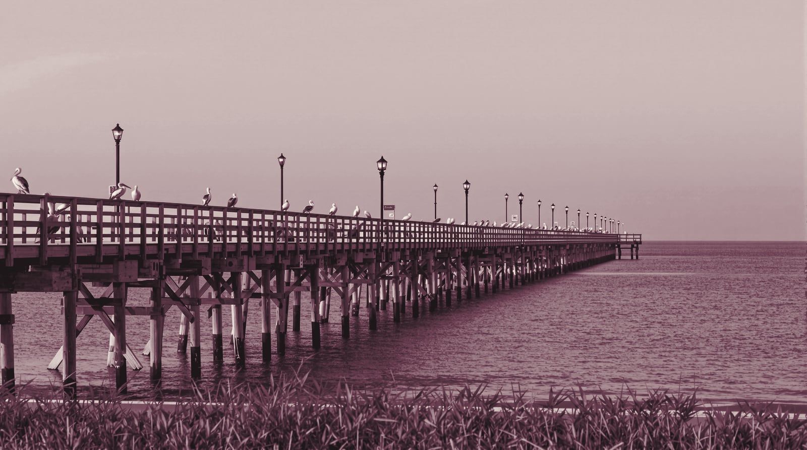 A long fishing pier reaching into the Gulf at sunrise