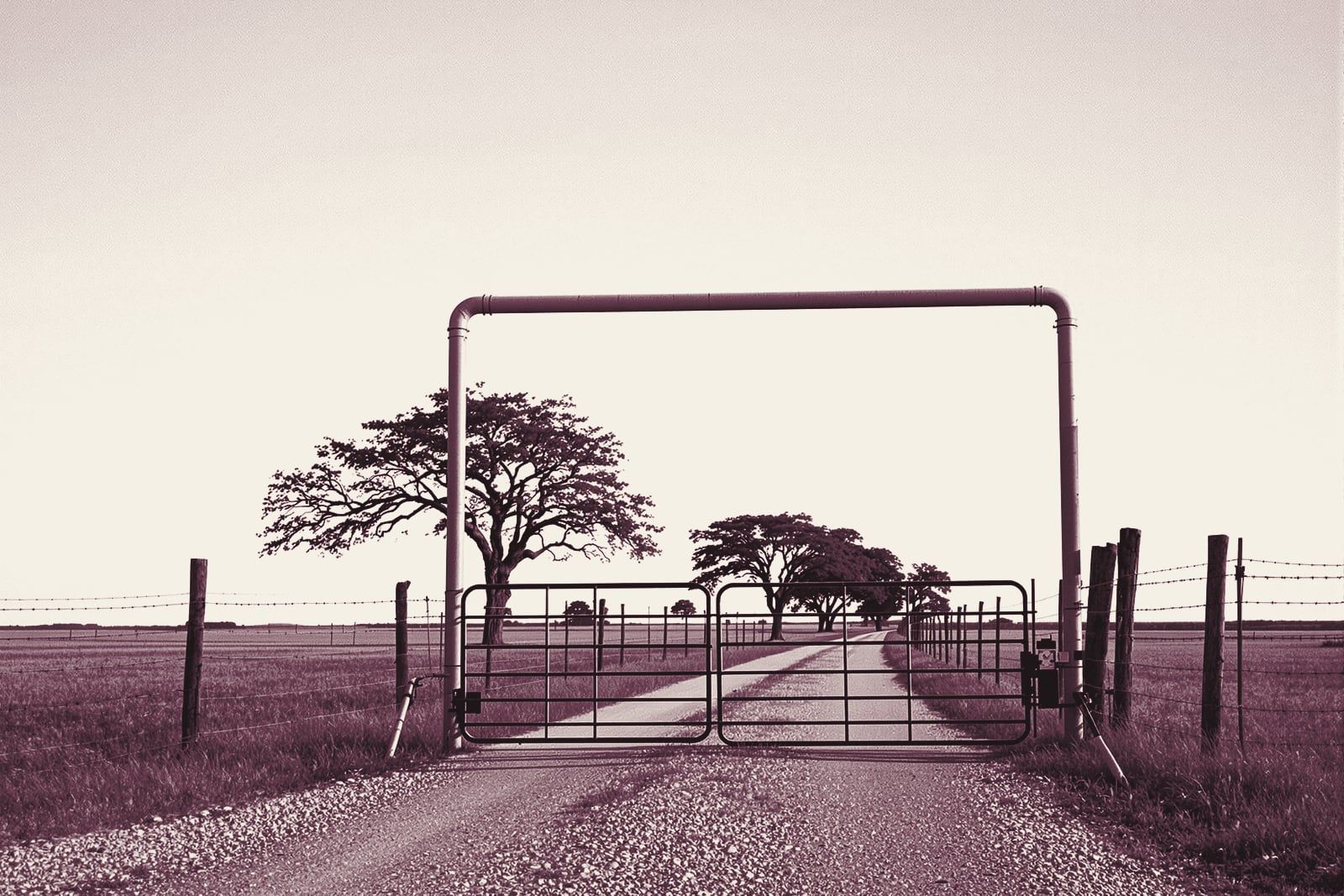 A pipe-steel ranch gate over a cattle guard on a gravel road