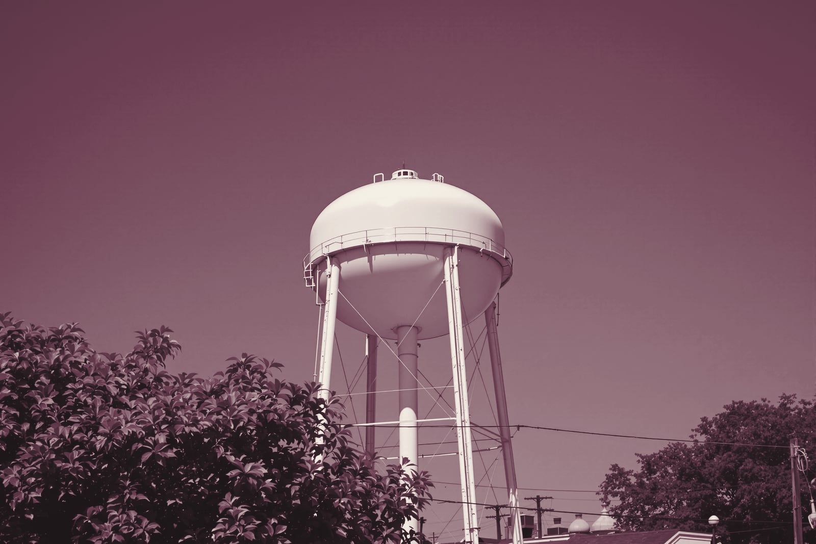 A plain white water tower above trees and low rooftops